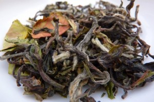 Fresh! 2012 Darjeeling Puttabong Ecológico 1a Cosecha | Čaj Chai Teahouse Barcelona