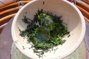 Ice Gyokuro | Čaj Chai Teahouse Barcelona