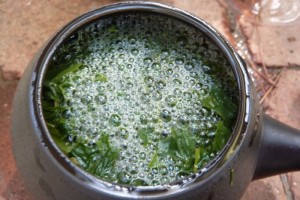 Global Tea Hut Septiembre 2012 | Čaj Chai Teahouse Barcelona