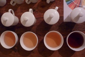 Cata de Té Oolong Dan Cong | Čaj Chai Teahouse Barcelona