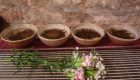 Bowl Tea (El método de preparación más antiguo) | Čaj Chai Teahouse Barcelona